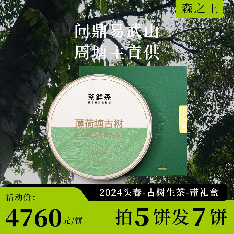 2024薄荷塘古树 森之王 春茶7折现货 送品鉴装礼盒 普洱茶 生茶 200g/饼