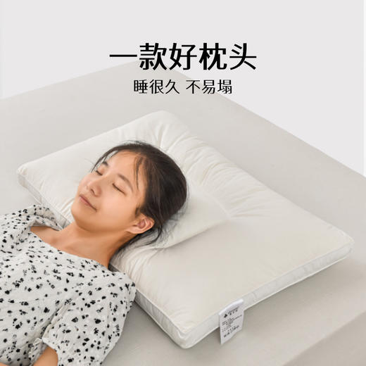 雅芳婷大豆枕枕头枕芯单个装分区承托夏天睡觉专用睡眠舒适透气 商品图2