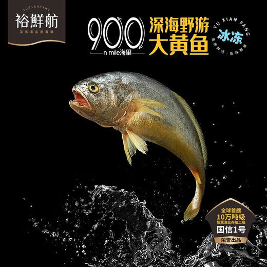裕鲜舫 900海礼大黄鱼礼盒 大黄鱼原条700g 单条装礼盒 商品图2
