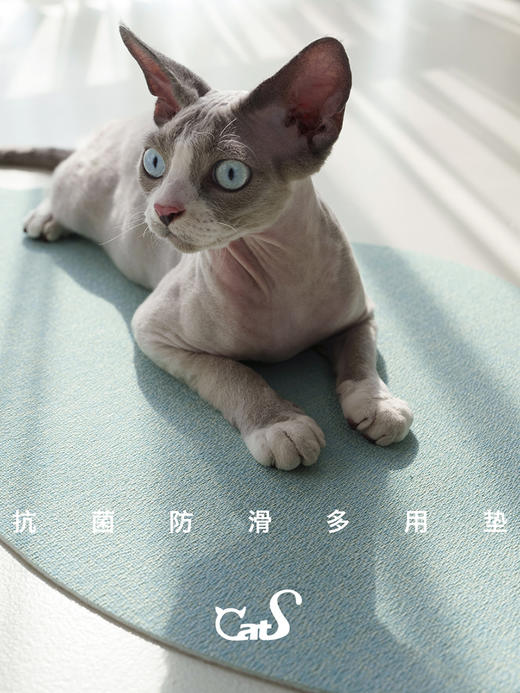 CatS独家 一朵云 凉席地垫餐垫睡垫凉垫 商品图3