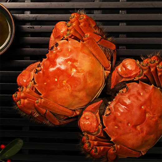 【YCC】阳澄澄大闸蟹 商品图4