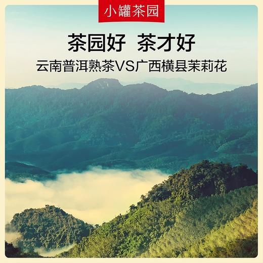 小罐茶园乌金飘雪（茉莉熟普茶）16袋装 商品图3