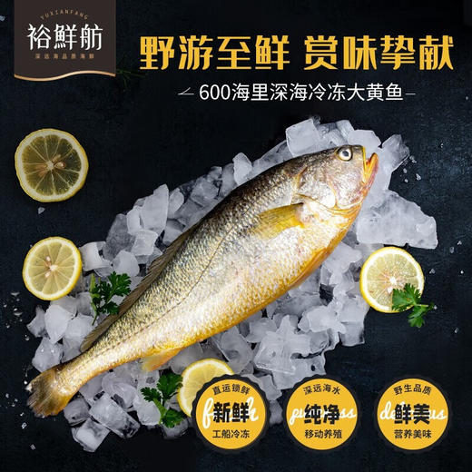 裕鲜舫 600海里大黄鱼礼盒 大黄鱼原条500g*2条礼盒 1kg 商品图6
