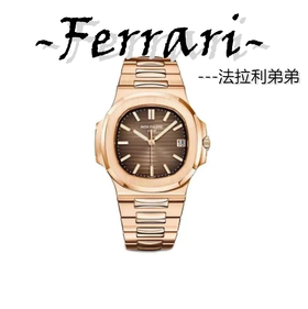 百**翡丽 鹦鹉螺 机械表