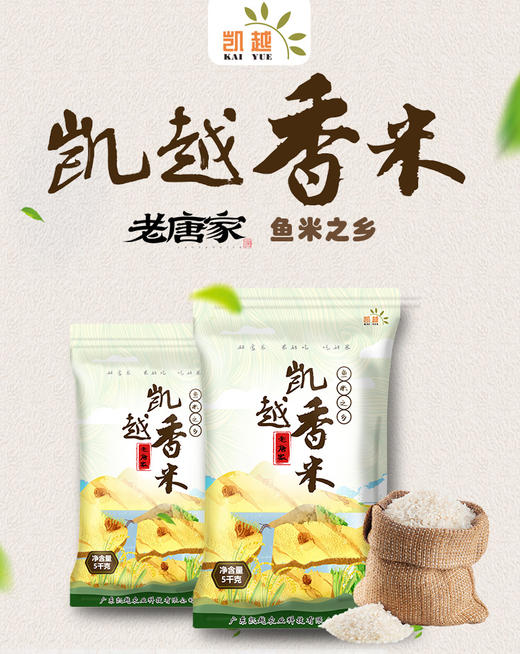 【雷州帮扶】凯越香米 5KG/袋 商品图0