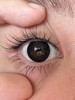 woolilens沃莉丝半年抛美瞳 特大黑 14.5mm 商品缩略图0