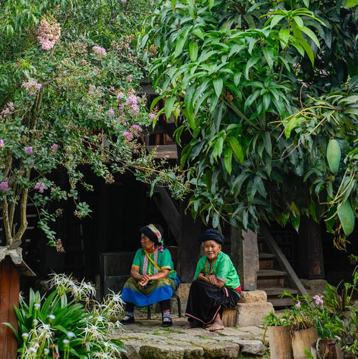 云南｜周末景迈山非遗茶山古寨2天1晚，2026一月每周末都出发的6人内小团！多排期！探索普洱访茶山古寨和少数民族，人文古寨和地道美食之旅！趣野星球摄影师带队精致小团！ 商品图8