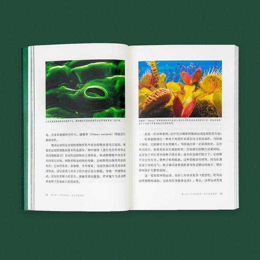 植物智能套装 失敬植物先生 它们没大脑 它们没有脚 商品图2