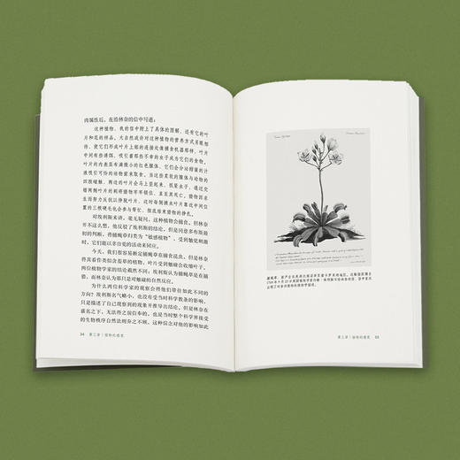 植物智能套装 失敬植物先生 它们没大脑 它们没有脚 商品图3