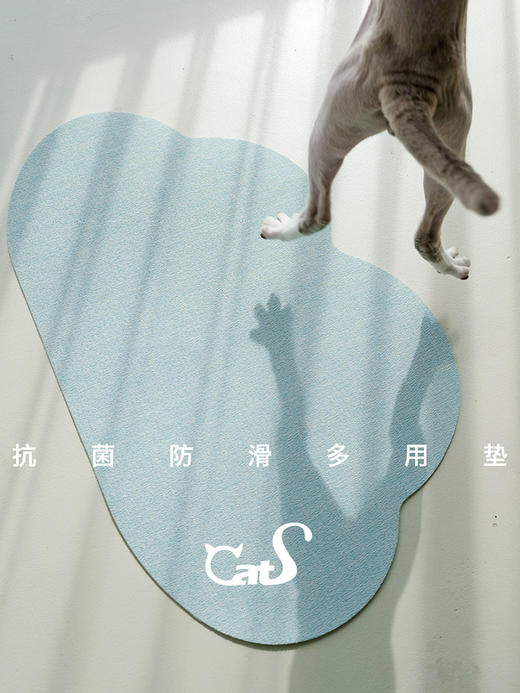 CatS独家 一朵云 凉席地垫餐垫睡垫凉垫 商品图4