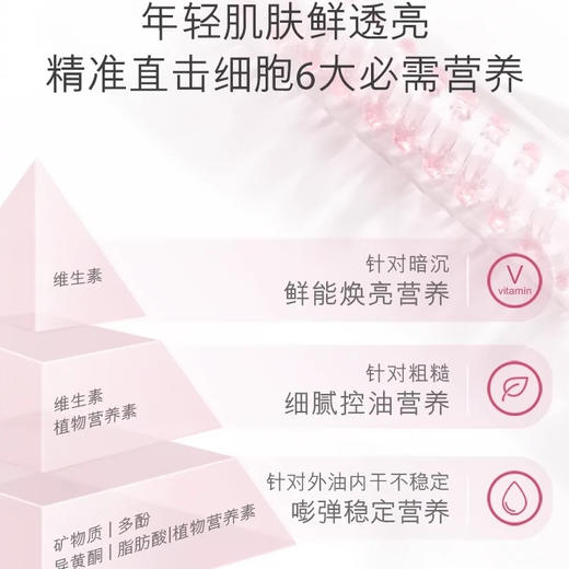 【专柜小样】美国 Estee Lauder雅诗兰黛 红石榴面霜 15ml 商品图5