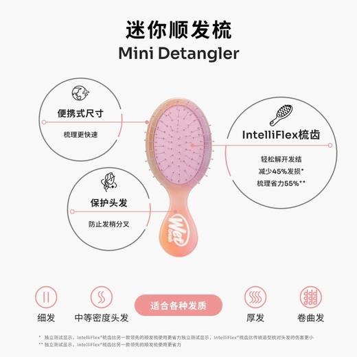 WetBrush 顺发梳 Pro 幻彩梦境 /迷你顺发梳 商品图6