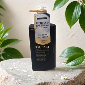 丝蓓绮沁耀臻致奢护护发素 490ml/瓶