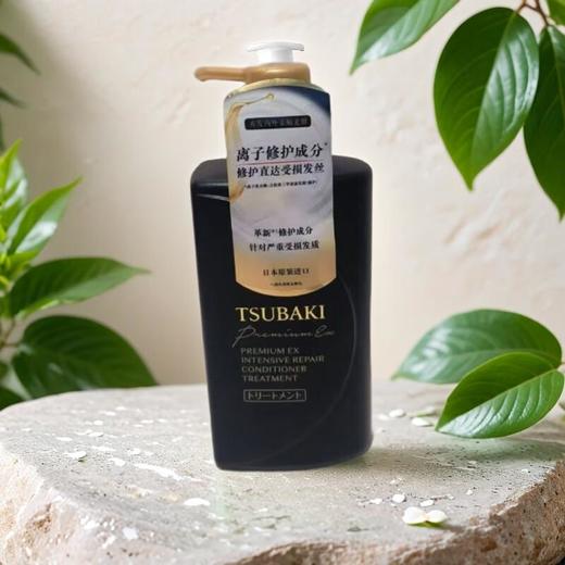 丝蓓绮沁耀臻致奢护护发素 490ml/瓶 商品图0