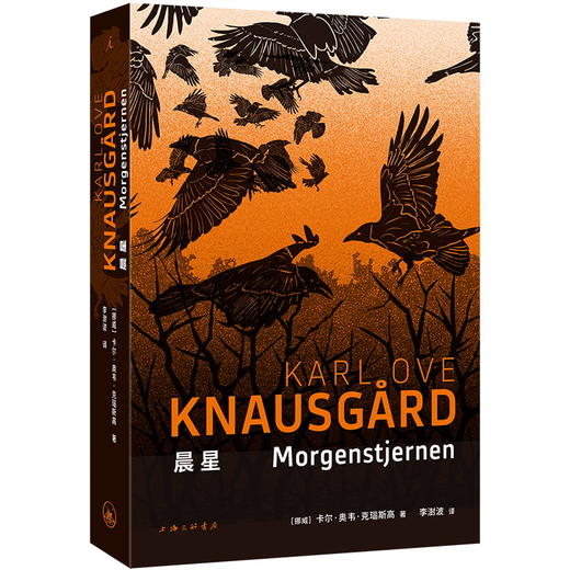 晨星(【挪威】卡尔·奥韦·克瑙斯高 著) 商品图0
