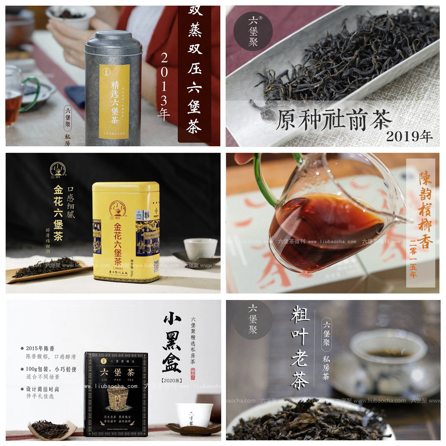 【品鉴组合装_基础系列】6款品鉴茶组合120g（菌花香、陈香、槟榔香、双蒸、原种、药香六堡组合装）