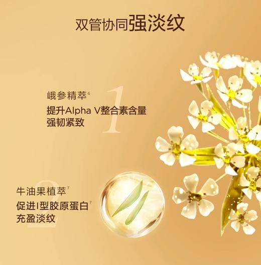 CLARINS娇韵诗双萃精华眼霜20ml 焕活眼部精华眼霜明眸紧致 商品图6