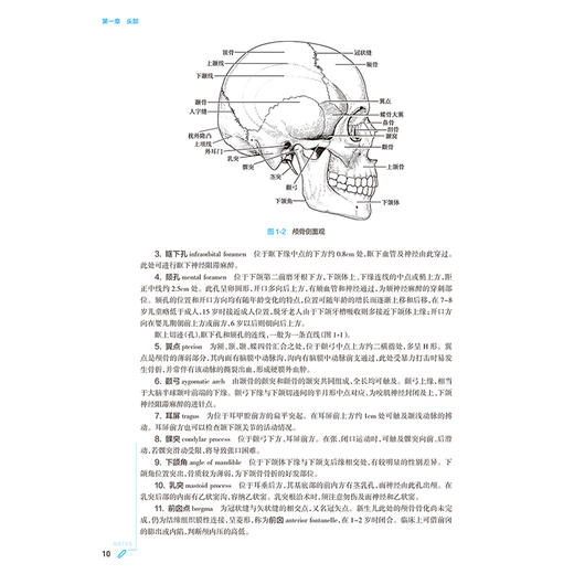 局部解剖学 第10版 局部解剖学的学习目的和学习方法 解剖器械的准备和使用 面部浅层结构 解剖面部 人民卫生出版社9787117366823 商品图3