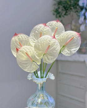 【绿光彩掌】科赛克