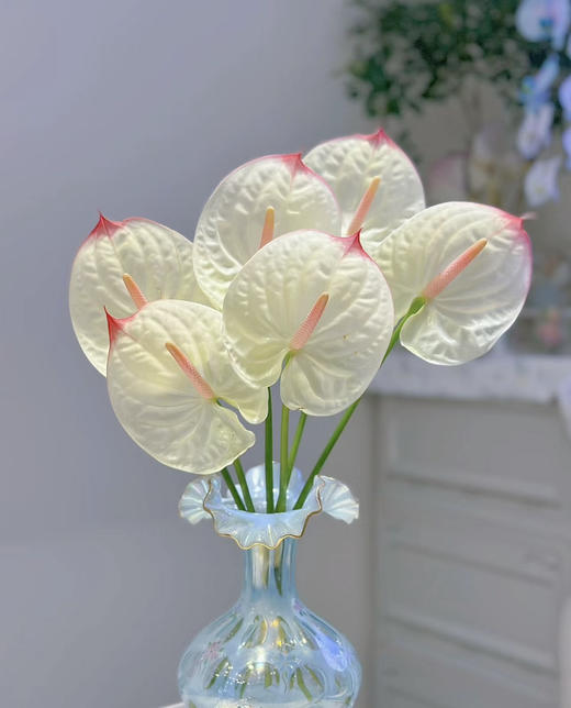 【绿光彩掌】科赛克 商品图0