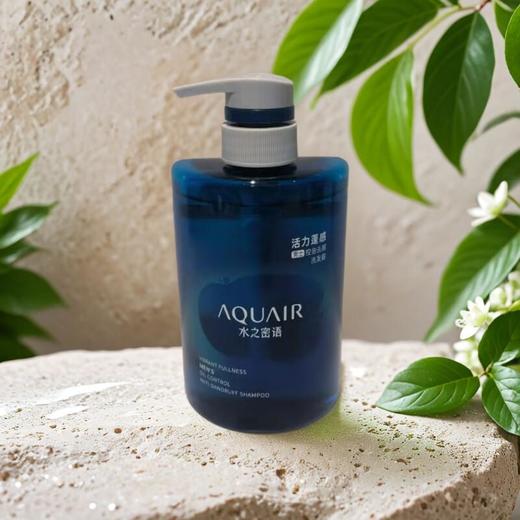 水之密语活力蓬感男士控油去屑洗 400ml/瓶 商品图0