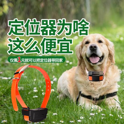 革泰美舟豹4G猎狗定位器，深度防水大山区专用，一元租用 商品图0
