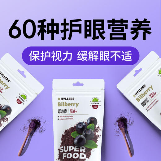 HYLLERS有机野生越橘粉 商品图1