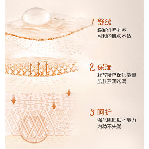 【399元会员福利】雪花秀滋盈肌本舒活礼盒肤2件套（水+乳） 商品图1