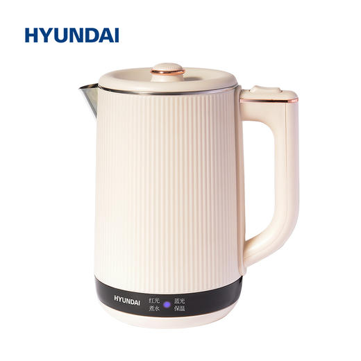 HYUNDAI智能双层恒温电热水壶 商品图2
