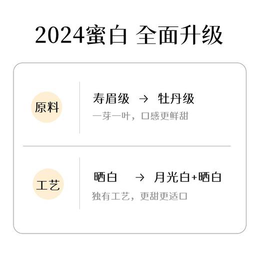 2024蜜白 森之初 7折首发 买5提打9折送1提 仅有40提 滑竹梁子古树白茶 100g/饼 商品图4