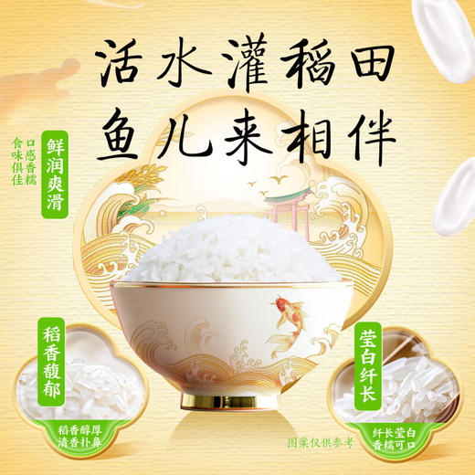 金龙鱼 稻谷鲜生六步鲜雪域稻花香米东北大米自然鲜香香软弹滑 5kg 商品图4