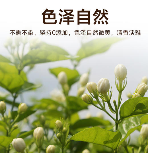云耕物作盛放茉莉花 16g/盒 独立包装12份 商品图1