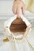 香奶奶 23S 22Mini bag 白金  银 垃圾袋 商品缩略图6