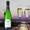【香槟翘楚】歌娜特级园年份香槟（白中白）2017 商品缩略图0