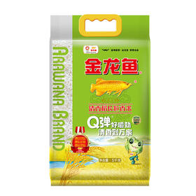 金龙鱼 清香稻长粒香米东北大米香软甜糯 5KG