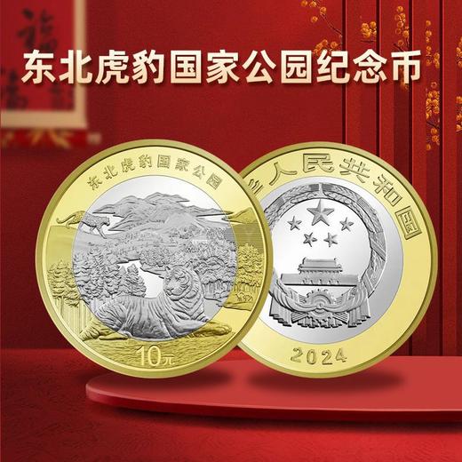 【9月中发货】2024东北虎豹普通纪念币 商品图1