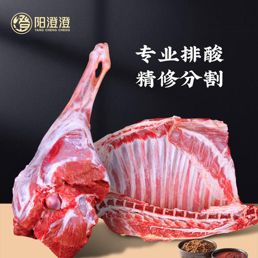 【YCC】宁夏盐池滩羊礼品卡 商品图5