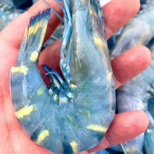 船冻黑虎虾  丰富虾青素 鲜甜肉紧 口感超赞  2.5斤/盒 商品图6