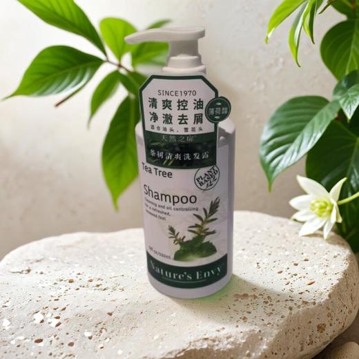 天然之扉茶树舒缓控油洗发露 532ml/瓶 商品图0