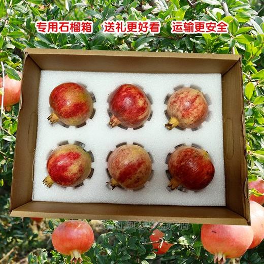 永胜程海老树突尼斯软籽石榴 商品图2