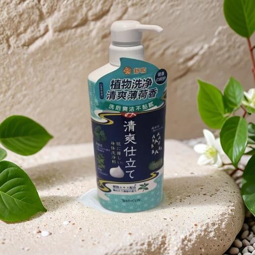 舒和草本沐浴露（清爽薄荷香型） 600ml/瓶 商品图0
