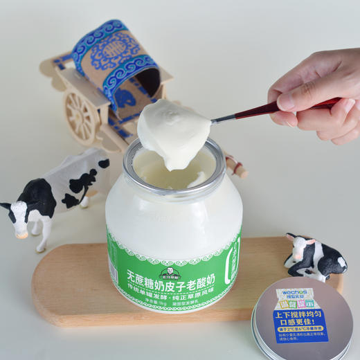 【老马在草原专属】维聪蒙古无蔗糖奶皮子老酸奶1kg/2桶装 商品图4