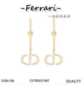 D家  新款 耳钉耳环
