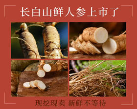 长白山人参，体型更像人形，没有残次，高山货没有泡水今年雨水多，没有黑斑病斑，没有用化肥等科技活，有机种植！4-5年参，8-12支，200克/箱