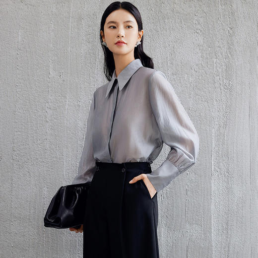 玳莎刺绣宽克夫袖衬衫女士2024年秋季新款通勤简约宽松天丝上衣  EC31304 商品图1