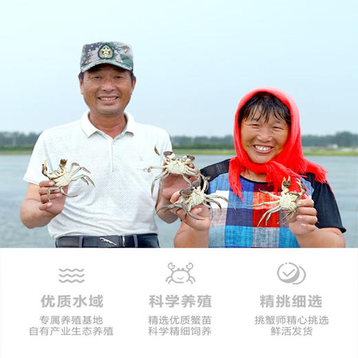 姑苏渔歌 大闸蟹礼券螃蟹礼盒团购礼品卡海鲜水产 皇家经典系列 588型公3.0两 母2.0两 6只 商品图3