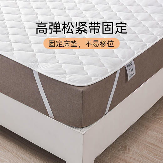 雅芳婷床垫保护垫家用卧室夏季床护垫枕套抑菌可机洗水洗 商品图2