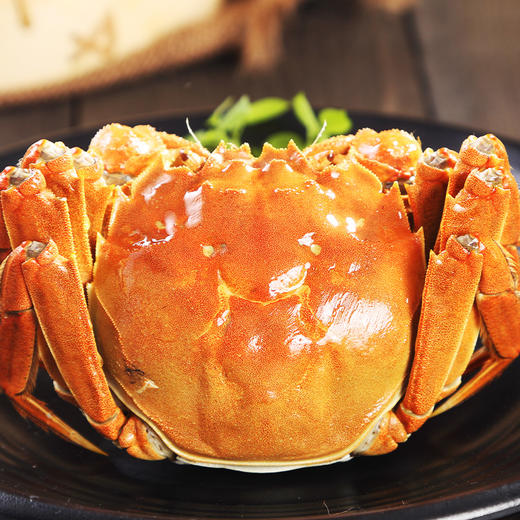 蟹冠香豪华精致型蟹卡（阳澄湖大闸蟹公4.5两 母3.0两 4对装） 商品图5