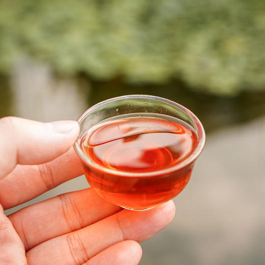 【年货价】【刺梨原液】贵州野果刺梨鲜果鲜榨 天然SOD 高维C维P 纯净配方 营养又健康 坚持每天喝 每盒50ml*10支 商品图3