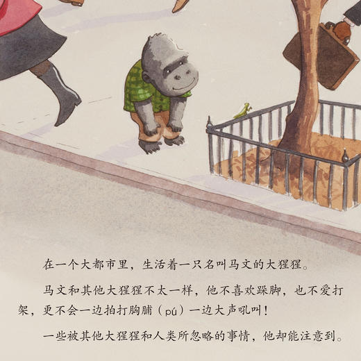 专注力培养系列-儿童情绪管理与性格培养（共5册）：《好动的小兔子》《安静之王》《别着急，停下来》《我能安静下来》《我要更专注》（共5册） 商品图7